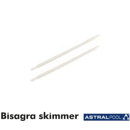 ASTRALPOOL Bisagra Compuerta 440201